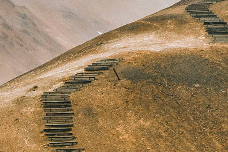 gfl Cosmos oganic certification