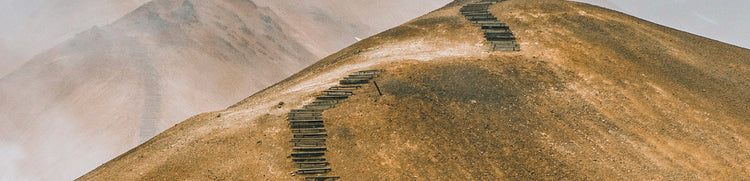 gfl Cosmos oganic certification