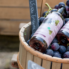 Itinera Jabón Líquido Suavizante (12,51 onzas líquidas)