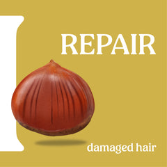 Champú de protección instantánea Itinera (12,51 onzas líquidas)