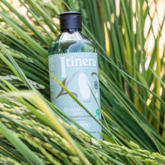 Itinera Champú Silky Touch (12,51 onzas líquidas)