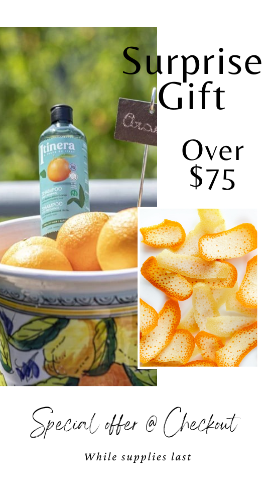 ITINERA KITS GFL Cosmetics USA